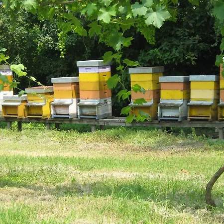 Agroturismo Dominio Di Bagnoli Bagnoli di Sopra