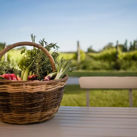 Dominio Di Bagnoli Alloggio per agriturismo *